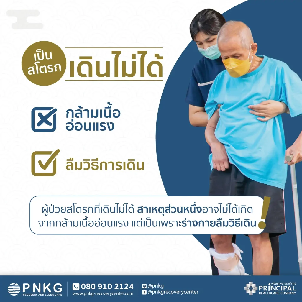 Motor Learning เคล็ดลับสำคัญในการฟื้นฟูผู้ป่วยสโตรก (Stroke)