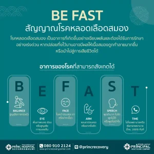 โรคหลอดเลือดสมอง หรือ Stroke ต้นเหตุอัมพฤกษ์ อัมพาต